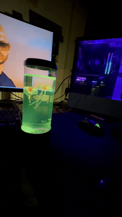 Aquariu Lamp [50% OFF]